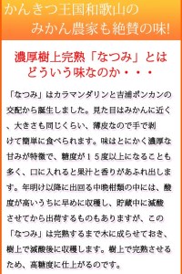 初夏のみかん　なつみ3kg　※2027年4月中旬頃〜2027年4月末頃順次発送（お届け日指定不可） / 果物 くだもの フルーツ 柑橘 オレンジ みかん ミカン 有田みかん 【uot753A】