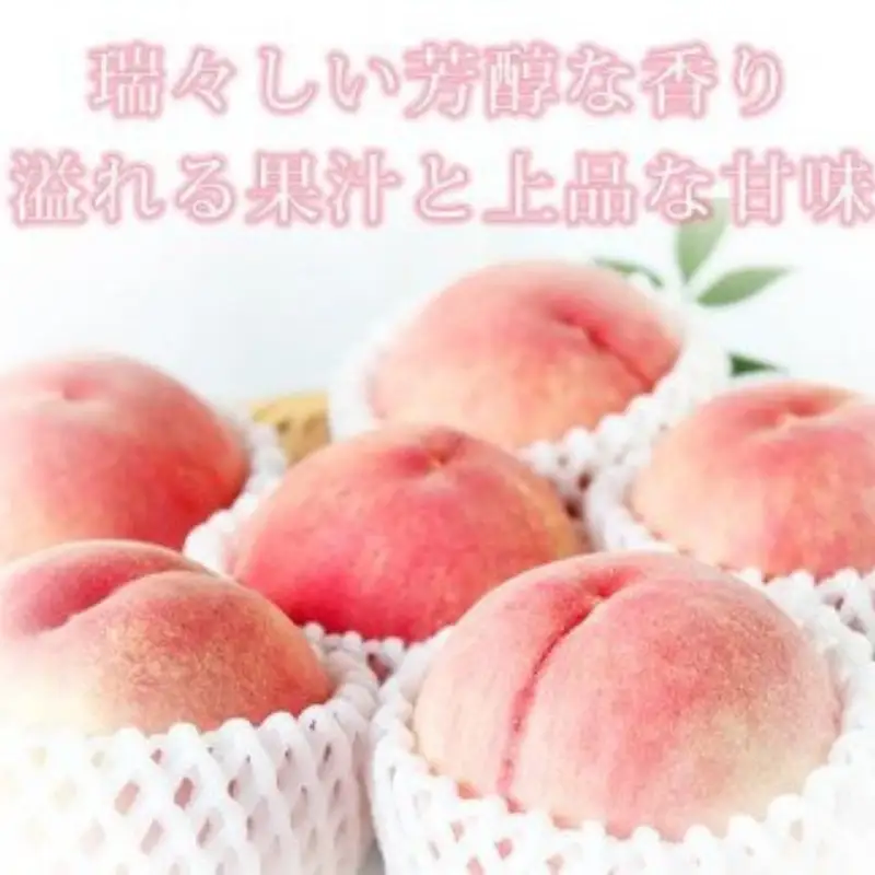 秀品　紀州和歌山産の桃　3玉　化粧箱入　※2026年6月下旬頃〜2026年8月上旬頃順次発送（お届け日指定不可）【uot750】