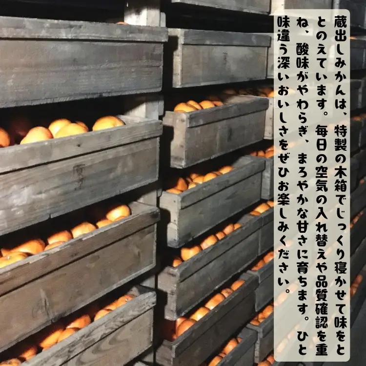 ［紀州伝統の味］下津蔵出し みかん（高糖系品種 丹生系） 2kg［S～L混合サイズ］［先行予約］