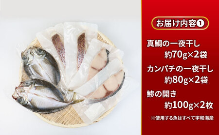 干物 セット 一夜干し よくばりセット こもねっと 干物 D025-008005