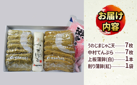 練物 じゃこ天 天ぷら 蒲鉾 詰め合わせ A 中村かまぼこ店 練物 C012-013001