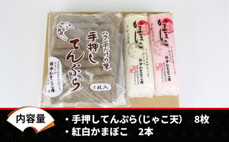 じゃこ天 蒲鉾 2種 セット 野中かまぼこ店 蒲鉾 C010-014001