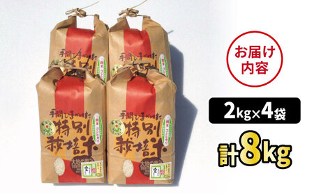 【精米】 令和7年度産 コシヒカリ 8kg 農業組合法人はざめ 精米 G025-015001