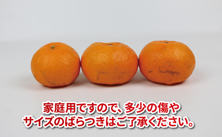 愛媛みかん 早生 ポンカン 10kg 平石農園 太田ポンカン 早生ポンカン ぽんかん みかん mikan 愛媛ミカン 愛媛蜜柑 果物 くだもの フルーツ 柑橘 甘い みかん 蜜柑 数量限定 産地直送 農家直送 国産 愛媛 宇和島 B011-017002