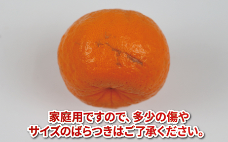 【みかん】 ポンカン10kg 家庭用 平石農園 みかんB011-017003