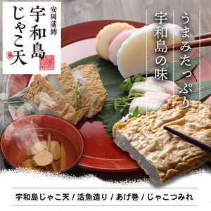 蒲鉾 じゃこ天 揚巻 詰合せB 4種 安岡蒲鉾店 C026-020002