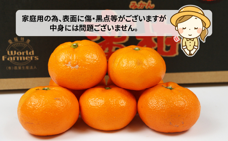 【愛媛みかん】 南柑20号 10kg ﾜｰﾙﾄﾞﾌｧｰﾏｰｽﾞ みかん B015-024002