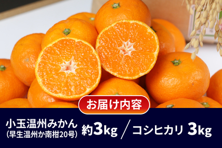 【米】温州みかん小玉約3kg伊達米コシヒカリ3kgWF│B012-024003