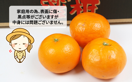 【柑橘】はれひめ4kgWF柑橘B012-024005