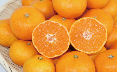 愛媛みかん 早生温州 7kg 家庭用 大小混合 南四国ファーム mikan みかん 不揃い 早生 温州 温州みかん 愛媛ミカン 愛媛蜜柑 果物 くだもの フルーツ 柑橘 蜜柑 産地直送 数量限定 国産 宇和島 B010-035001