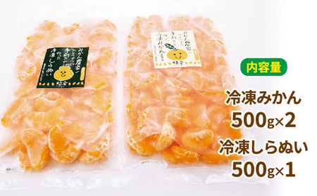 冷凍 みかん 500g×2袋 しらぬい 粒楽 みかん 南四国ファーム J012-035009