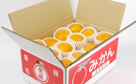 【みかん】屋根かけ愛果28号4.5kg陽だまりミカンみかん柑橘│B018-050004