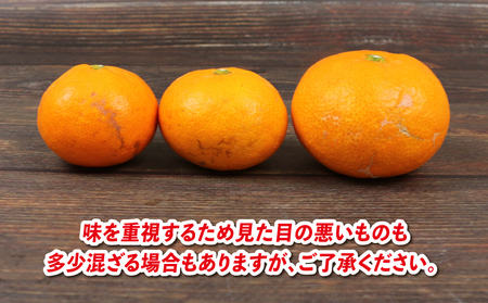 愛媛みかん 早生温州 9kg サイズ不揃い 家庭用 兵頭農園 先行予約 みかん mikan 愛媛ミカン 愛媛蜜柑 早生 温州 温州みかん 不揃い 果物 くだもの フルーツ 柑橘 蜜柑 産地直送 農家直送 数量限定 国産 愛媛県産 愛媛 宇和島 B012-055001