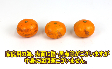 愛媛みかん 早生 温州 10kg サイズ 不揃い 家庭用 上杉果樹園 温州みかん B012-056001