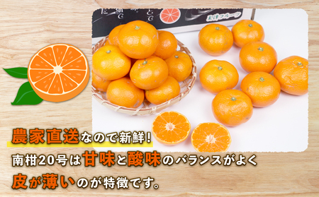  【 みかん 】みかん南柑20号10kg家庭用上杉果樹園|B012-056002