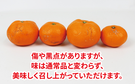【みかん】南柑20号10kg家庭用サイズ不揃いNBUみかん|B015-058002