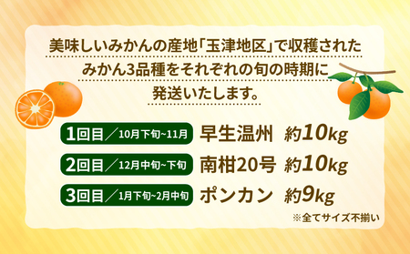 【定期便】みかん定期便柑橘3回NBU |B050-058007 みかん