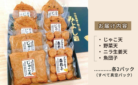 じゃこ天 練り物 喜びセット 宇和島練り物工房みよし C012-061001