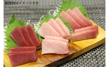 【 辻水産 】鮪 中トロ マグロ 詰合せ  約450g│D024-062005 鮪