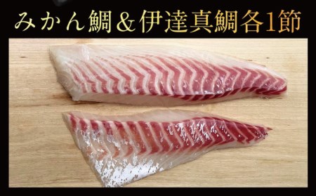 みかん 鯛 ＆ 伊達 真鯛 270g ~ 350g 刺身 宇和島プロジェクト D012-071003