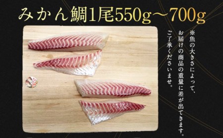 みかん 真鯛 刺し身 1尾 4節 宇和島プロジェクト 刺し身 D022-071004