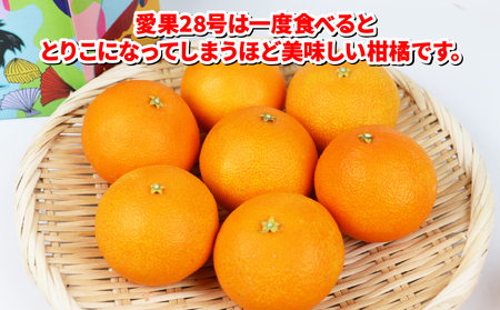 【愛果28号】 贈答用 2kg 愛果28号 【B018-075005】