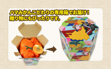 ハウスみかん 贈答用 2kg ハマみかん 先行予約 ハウス B024-075008