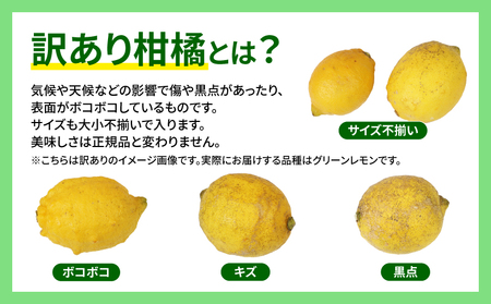 国産レモン 檸檬 レモン 訳あり グリーンレモン 5kg マル南フルーツ 先行予約 remon 愛媛県産レモン わけあり れもん 檸檬 レモン果汁 酸味 高級 希少 安心 果物 くだもの ビタミン 健康 フルーツ 訳アリ 訳あり品 柑橘 産地直送 数量限定 国産 愛媛 宇和島 B010-106016