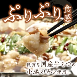 博多明太もつ鍋(3人前)【002-0020】モツ鍋 セット 鍋セット 明太子 めんたいこ ちゃんぽん 麺付き 国産 送料無料