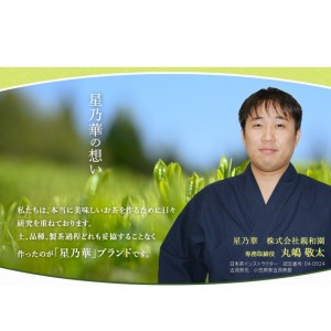 [八女茶]八女星野茶　星乃煌(玉露150g×1・煎茶150g×1)【015-0003】