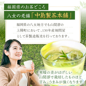 福岡銘茶八女茶　急須要らずのお手軽セット お茶 緑茶 お茶【001-0088】