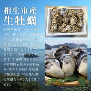 岩かき　4.5kg【漁師直送！】2026年6月中旬～発送