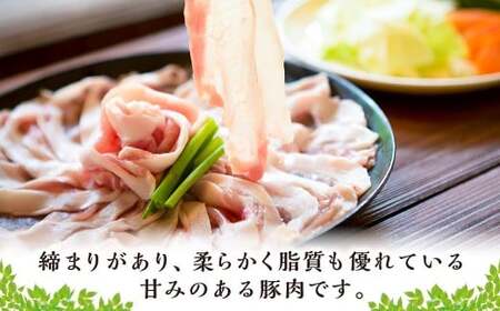 【希少種の極上の味】耳納あかぶた ロースしゃぶしゃぶ用 900g (150g×6パック)【リバーワイルド・ハム・ファクトリー】 真空パック 冷凍 豚肉 しゃぶしゃぶ ロース スライス