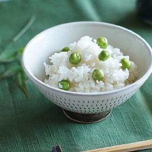 小石原焼 カネハ窯 飛び鉋飯碗 大(全飛び鉋) AA93