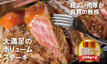 黒毛和牛 ロースステーキ 250g×2 C270-001 ステーキ 牛肉