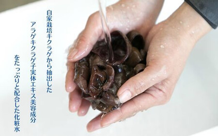 森くらげコスメセット【美容 化粧品 化粧水 クレンジング 洗顔 石鹸 石けん クリーム スキンケア セット 肌ケア 乾燥肌 敏感肌 保湿 潤い うるおい 美肌 ハリ エイジングケア きのこ きくらげ キクラゲ 森くらげ 鳥取県 日吉津村】
