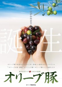 今だけお得! オリーブ豚 ロースブロック1kg