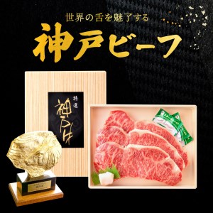 神戸ビーフ　ロースステーキ （250g×2枚）050OT03N.／神戸ビーフ 霜降り 太田牧場 太田家 黒毛和牛 高級 牛肉 国産 bbq バーベキュー 焼肉 アウトドア キャンプ ギフト 贈答品 贈り物 冷凍 焼き肉用