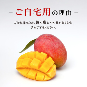 【令和8年発送】宮崎県産完熟マンゴーご自宅用3玉 マンゴー 果物