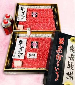 【AB779】長崎和牛 出島ばらいろ 2回定期便 《プチタイプL》