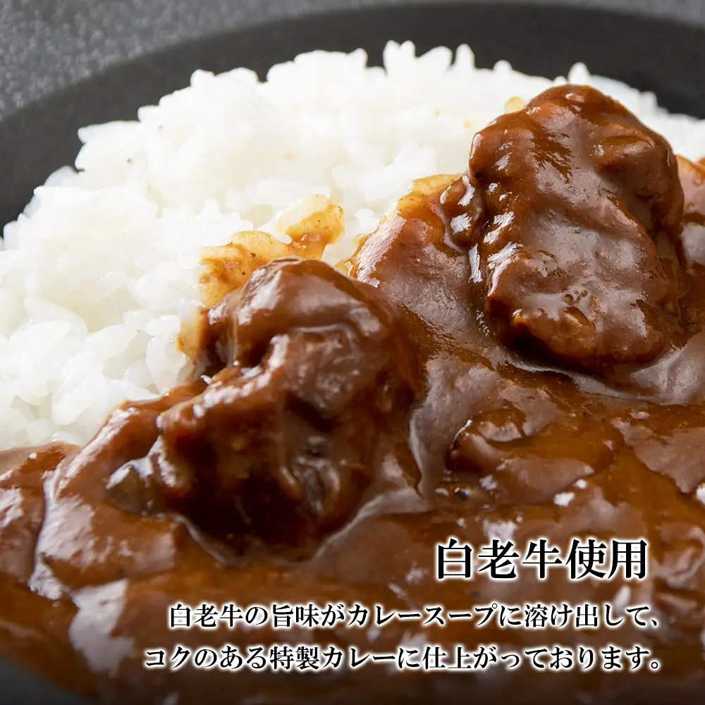 和牛 ビーフカレー 6個セット＜徳寿＞ 200ｇ×6袋 BJ040