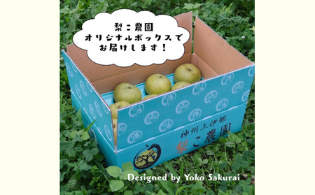 【無農薬】南信州からお届け 信州産 皮ごと食べられる安心安全の南水 約 3kg (8玉前後) フルーツ 果物 長野県産 デザート おすすめ 特産 産地直送