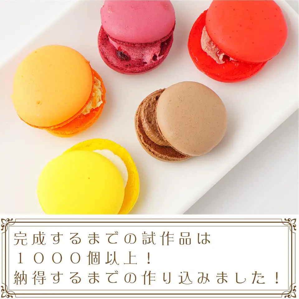 マカロン10個セット【074D-029】