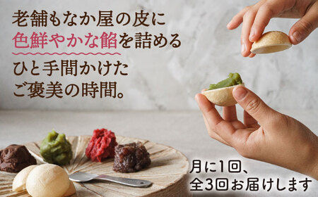 【先行受付中】【全3回定期便】【 贈答用にも 】 糸モナカ 4種 8個 セット 糸島市 / わかまつ農園 [AHB047]