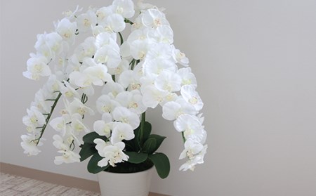 【造花】胡蝶蘭 7本立