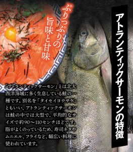 タスマニア産サーモンブロック 3～4ブロック 合計600g サーモン 鮭 さけ 刺身 さしみ 冷凍 オーストラリア産 【nks701A】