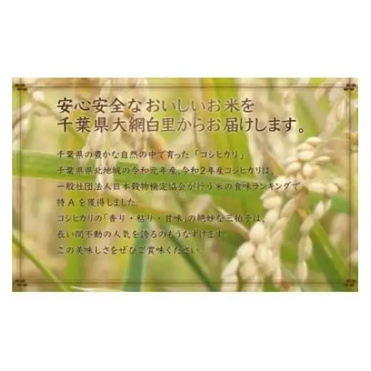 【最短2～7営業日出荷】令和7年産 2年連続特A評価!千葉県産コシヒカリ10kg（5kg×2袋） E001