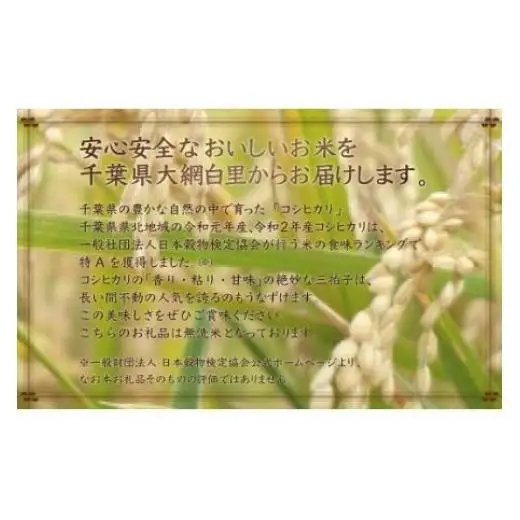 【最短2～7営業日出荷】令和7年産 2年連続特A評価!千葉県産コシヒカリ5kg無洗米（5kg×1袋） E008