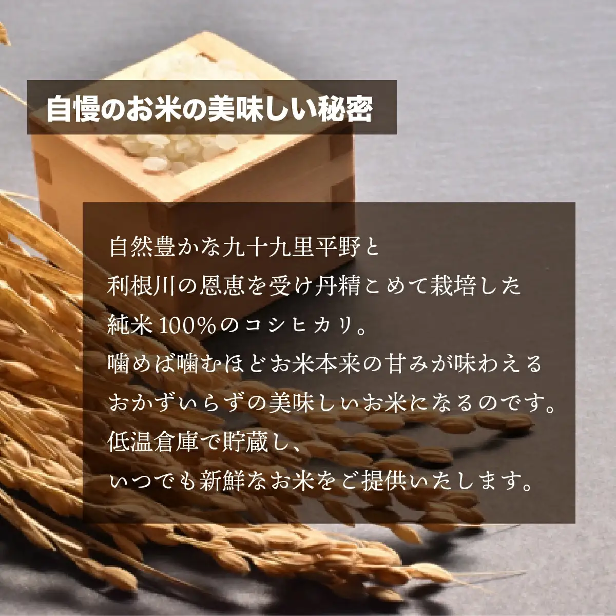 千葉県 大網白里市産 コシヒカリ 10kg（5kg×2袋）