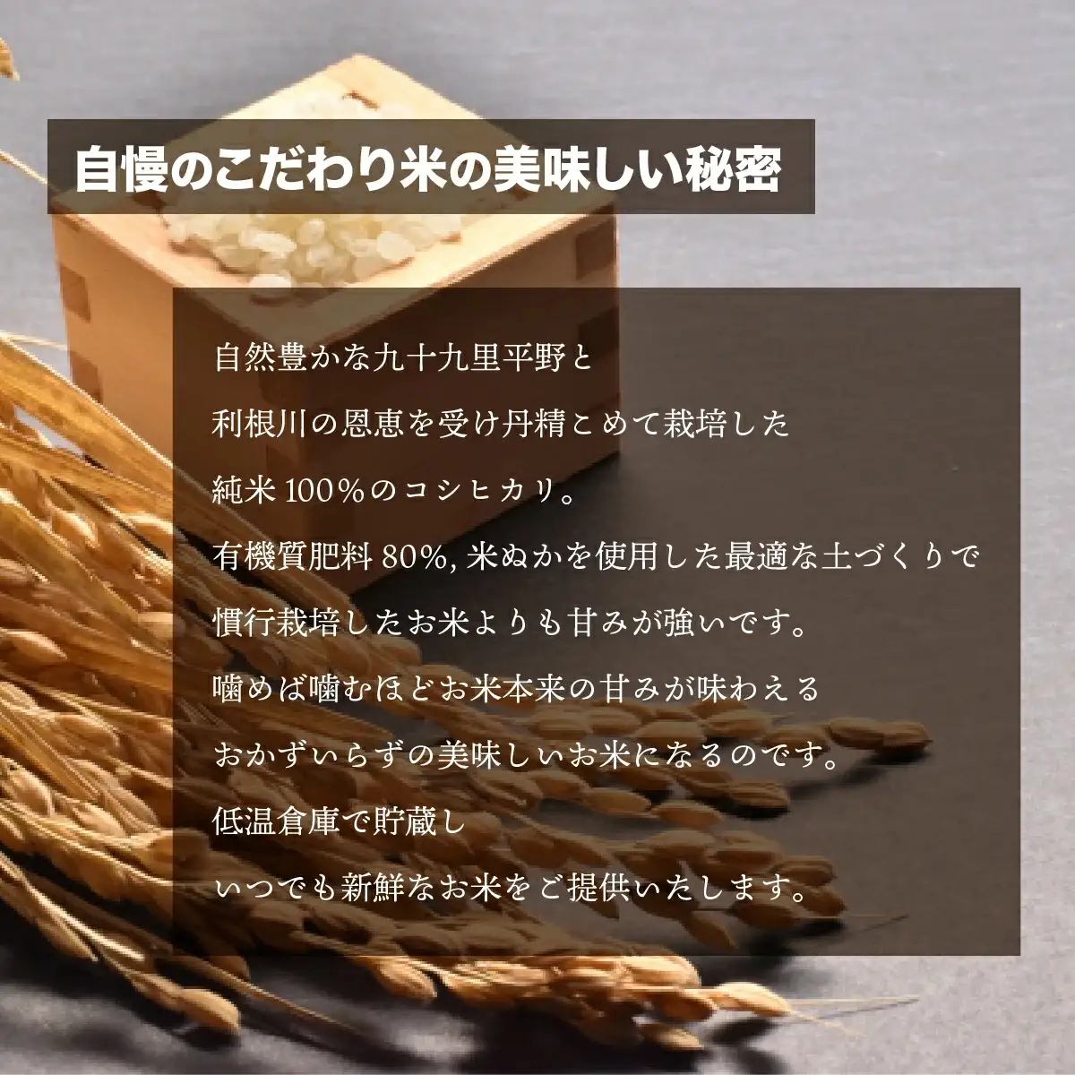 千葉県 大網白里市産 こだわり米（コシヒカリ）20kg（10kg×2袋）